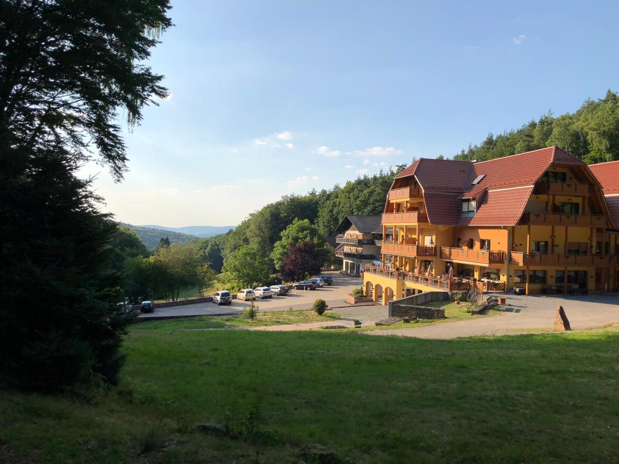 Wald-Hotel Heppe Dammbach Exterior photo