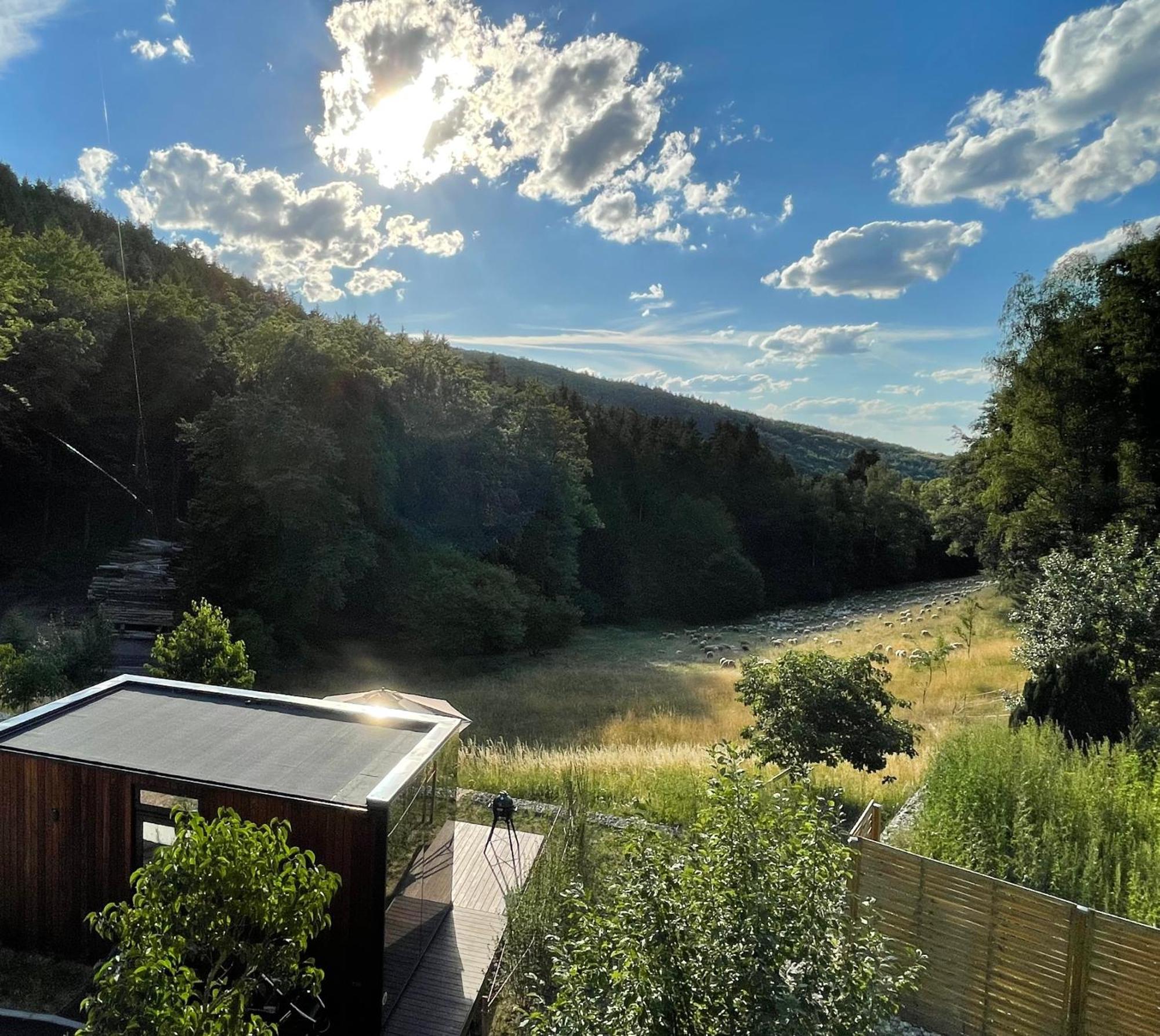 Wald-Hotel Heppe Dammbach Exterior photo